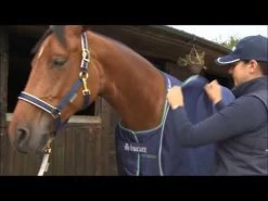 Bucas Power Turnout Combi-Neck