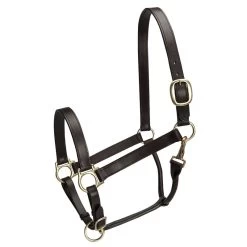 Basic Leather Adj Stable Halter W/ Snap