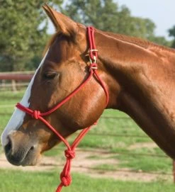 Mustang Easy-On Rope Halter