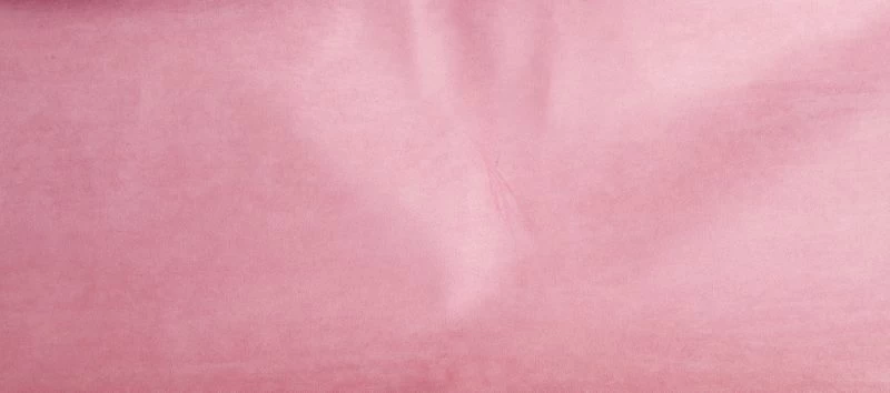 Reinsman Tacky Too Swayback Pad - Image 8