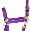Deluxe Breakaway Fuse 3-Ply Nylon Halter W/Snap