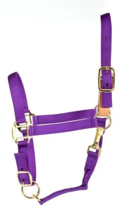 Deluxe Breakaway Fuse 3-Ply Nylon Halter W/Snap