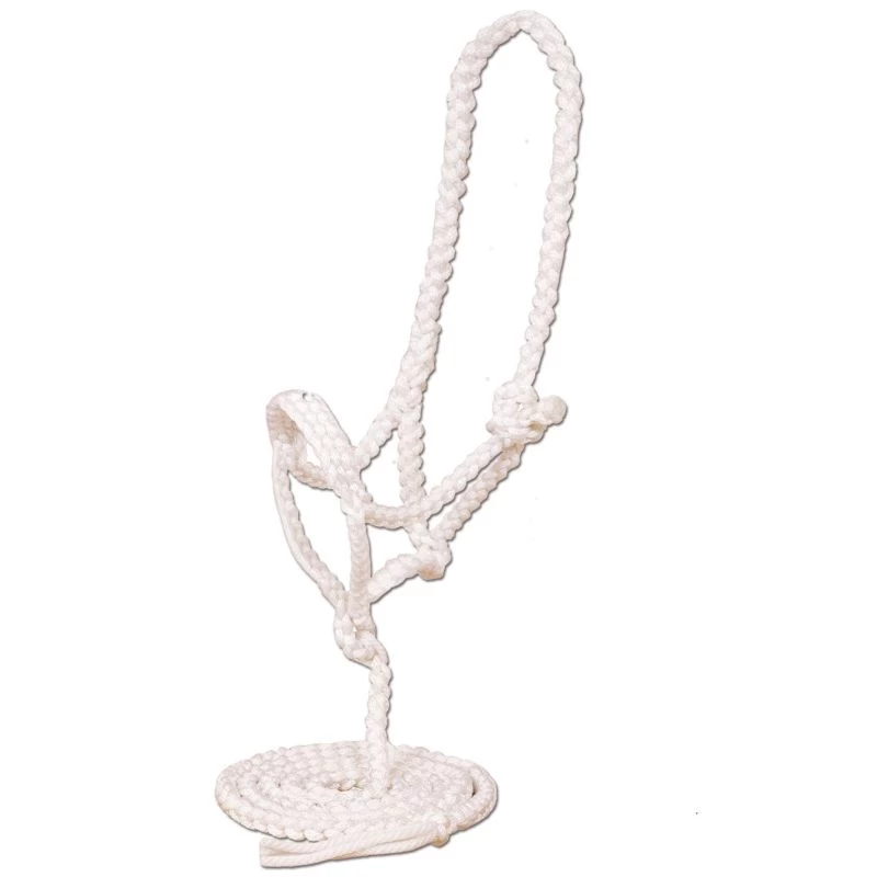 Mustang Flat Plaited Noseband Halter W/ Lead - Image 2
