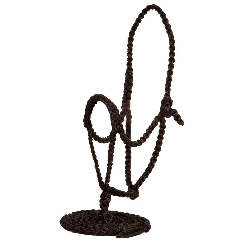 Mustang Flat Plaited Noseband Halter W/ Lead - Image 3