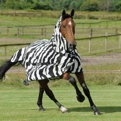 Bucas Zebra Fly Sheet
