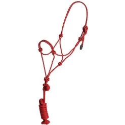 Mustang Economy Mountain Rope Halter/Lead