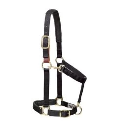 Weaver Breakaway Adjustable Halter