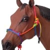 Tough1 Mini Rainbow Rope Halter