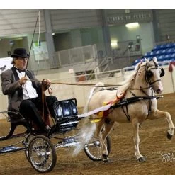 Ozark Mini Fancy Rolled Leather Harness