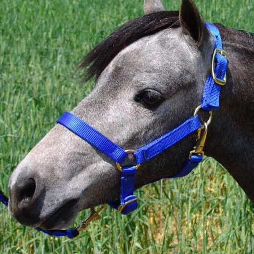 Ozark Mini/Pony Stable Halter - Image 5