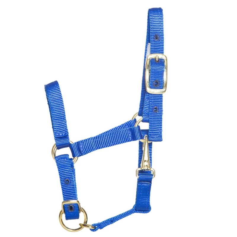 Ozark Mini/Pony Stable Halter - Image 2