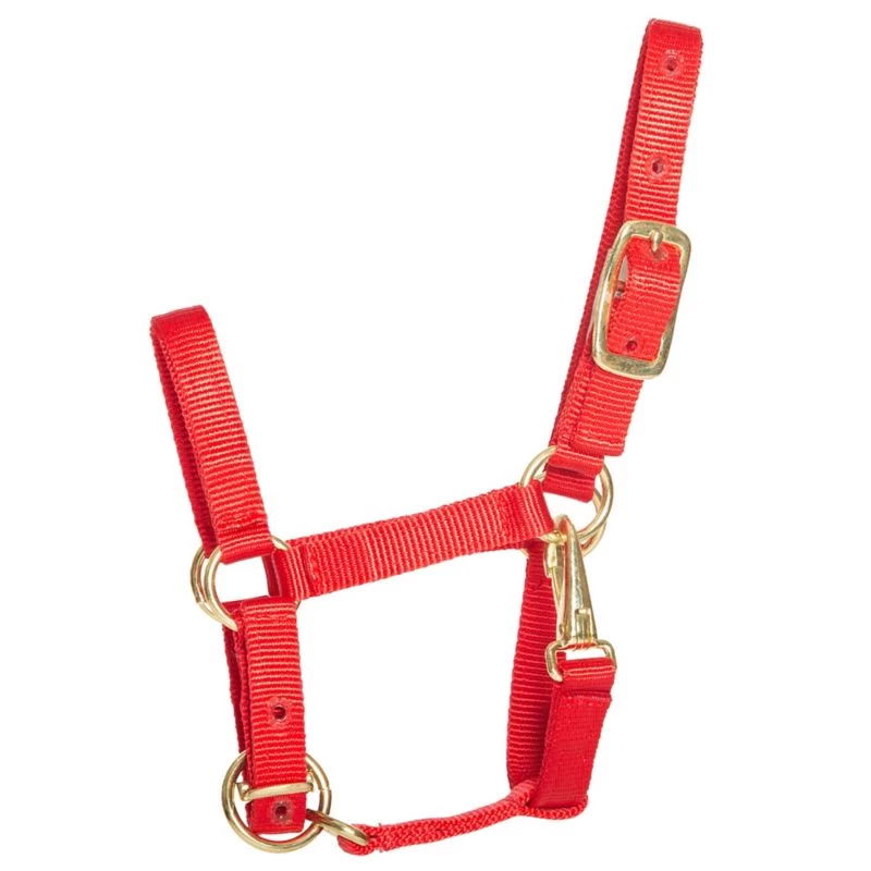 Ozark Mini/Pony Stable Halter - Image 3