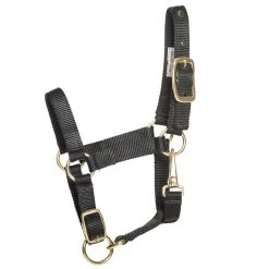Ozark Mini/Pony Stable Halter