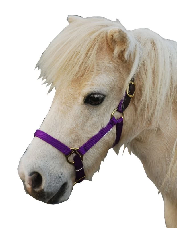 Triple E Nylon Mini Halter W/Leather Crown - Image 8