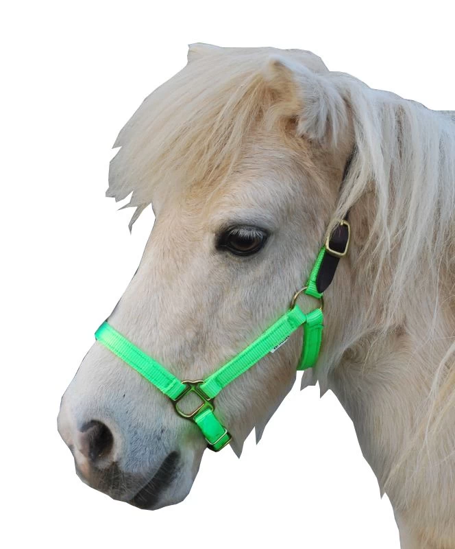 Triple E Nylon Mini Halter W/Leather Crown - Image 6