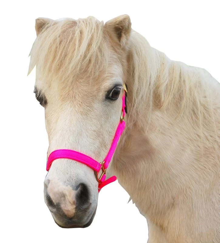 Triple E Nylon Mini Halter W/Leather Crown - Image 7