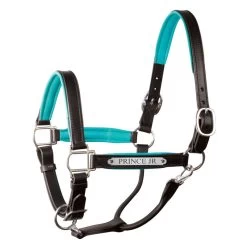 Engraved Large Pony Leather Halter