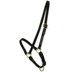 Gatsby Grooming Halter Horse Havana