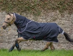 Amigo Bravo 12 Pony Plus Lite Turnout