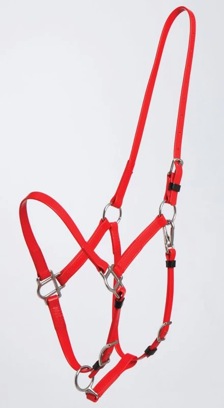 Zilco Deluxe Endurance Halter Arab/Full - Image 10