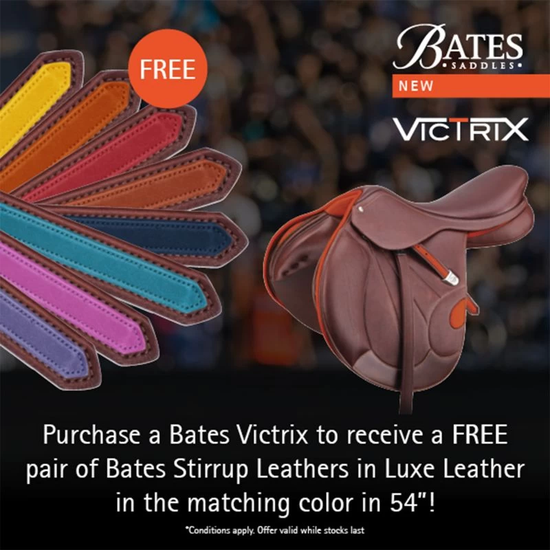 Bates Victrix Havana Stirrup Leathers - Image 12