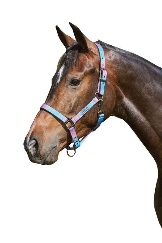 Weatherbeeta WB Prime Ombre Headcollar - Image 3