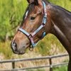 Weatherbeeta WB Prime Ombre Headcollar