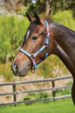 Weatherbeeta WB Prime Ombre Headcollar