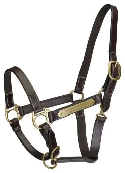Gatsby Engraved 2-Plate Leather Halter W Snap