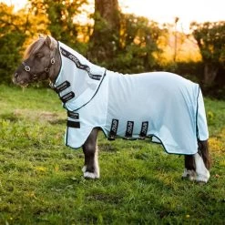 Amigo Petite Bug Rug