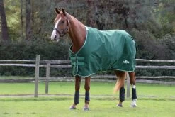 Weatherbeeta Saxon Defiant 1200D Stand Lite TO