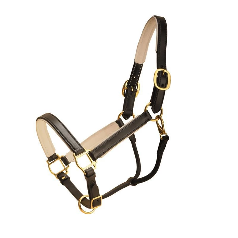Tory Leather 1in Padded Halter W/Brass Hardware - Image 2