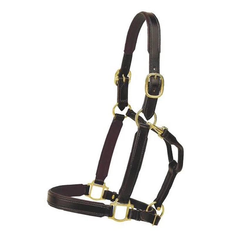 Tory Leather 1in Padded Halter W/Brass Hardware
