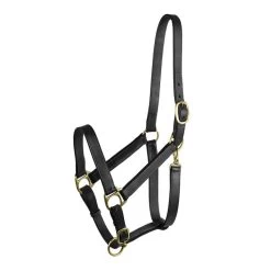 Gatsby Adj Turnout Halter W/ Snap