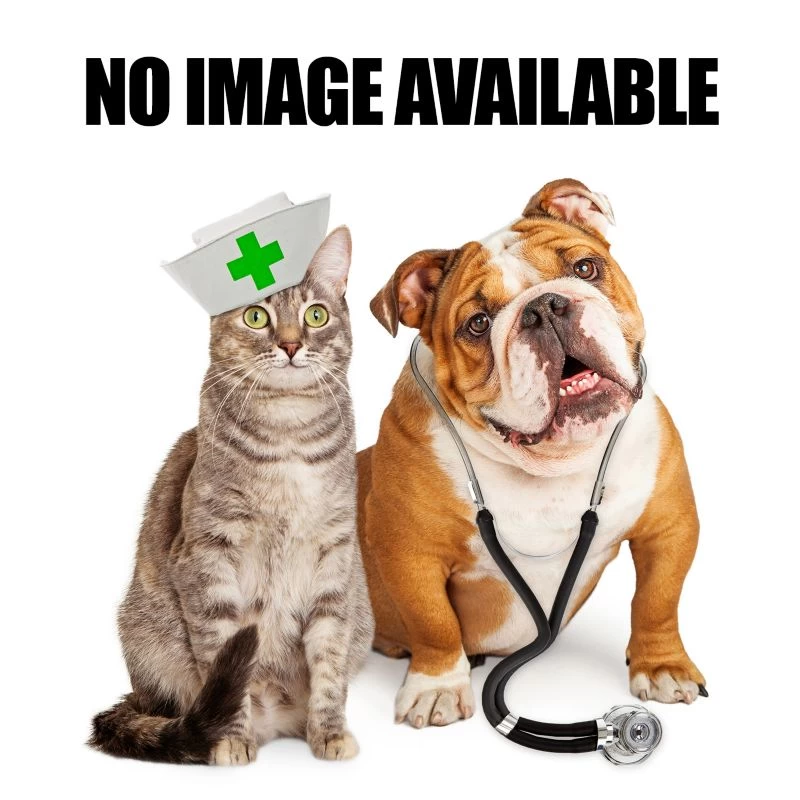 King Series Youth Bendigo Saddle